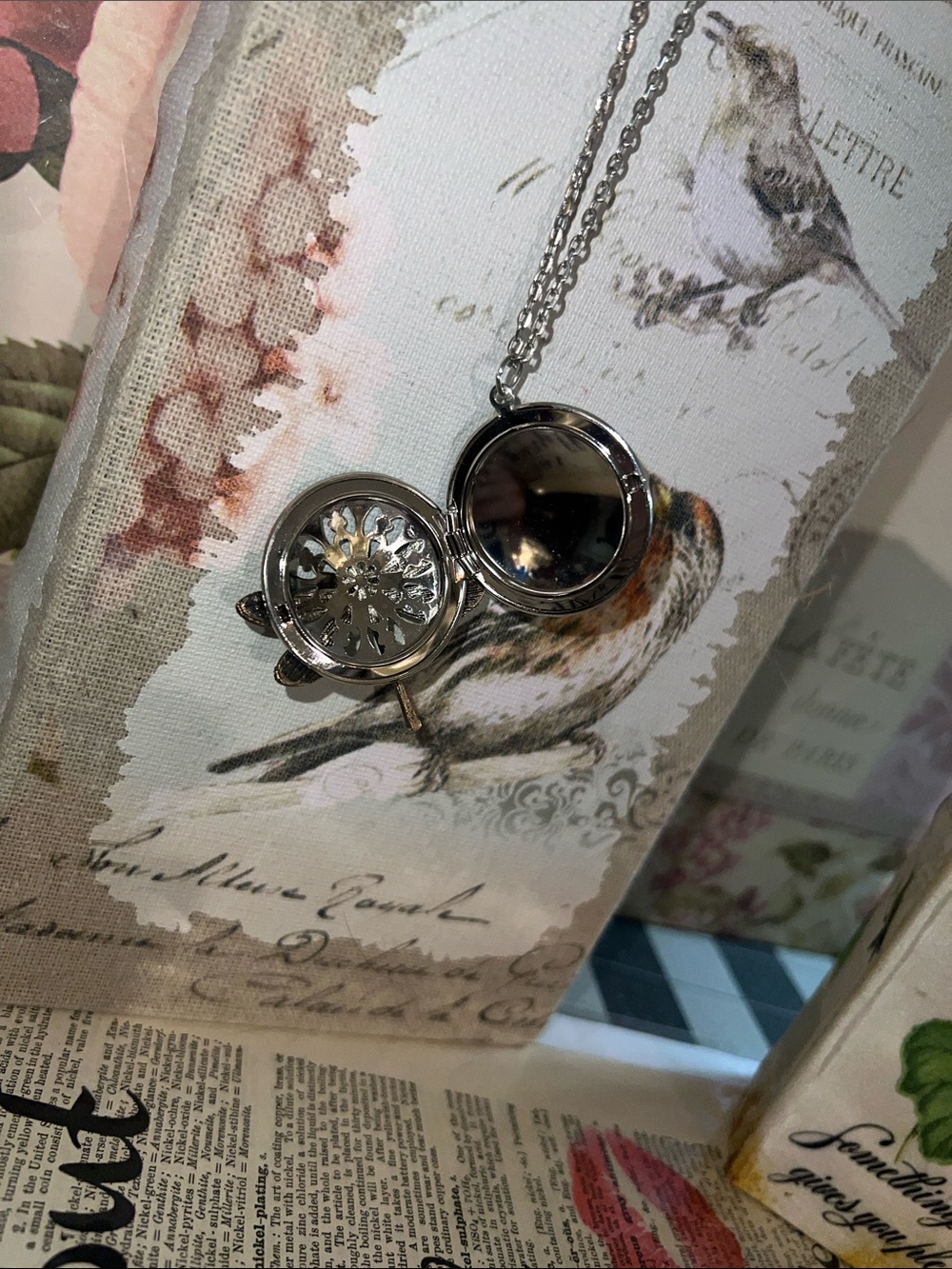 Silver Dragonfly aroma locket Necklace - Picture 5 of 7
